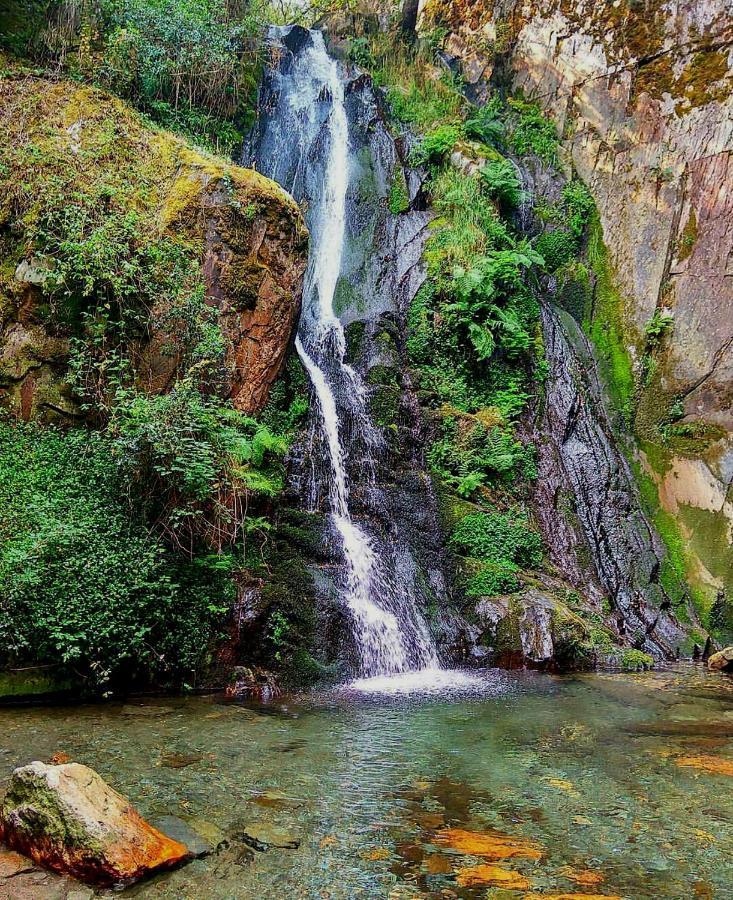 Fonte D' Amandos Bed and Breakfast Arganil Εξωτερικό φωτογραφία