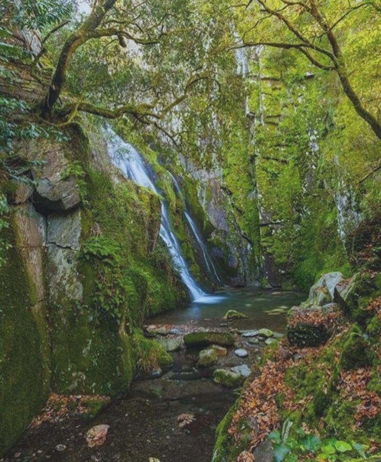 Fonte D' Amandos Bed and Breakfast Arganil Εξωτερικό φωτογραφία